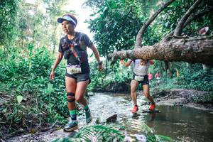 BIB: 
                            <button type="button" onclick="openModal(25433545)" class="btn btn-primary btn-sm float-right btn-popup" data-toggle="modal" data-target=".modal-high-quality">
                        <i class="fas fa-shopping-cart"></i> Add to Cart
                    </button>
                                            <button type="button" onclick="isThisMe(25433545, true)" class="btn btn-success btn-sm float-right btn-popup btn-isme hidden" data-toggle="tooltip" data-placement="bottom" title="นี่คือรูปของคุณใช่ไหม คลิกที่นี่เพื่อเอาเข้าอัลบั้ม">
                        <i class="fas fa-plus"></i> Add to album
                    </button>
                    <button type="button" onclick="isThisMe(25433545, false)" class="btn btn-warning btn-sm float-right btn-popup btn-isnotme hidden">
                        <i class="fas fa-ban"></i> Remove from album
                    </button>